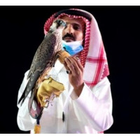Сокіл сапсан був проданий в Саудівській Аравії за рекордну суму