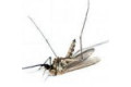 Знищувачі літаючих комах, комарів