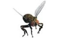 Відлякувачі комах, комарів