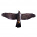 Визуальный отпугиватель птиц Хищник-1 (Ястреб)