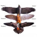 Візуальний відлякувач птахів Хижак-2 (Чеглок)