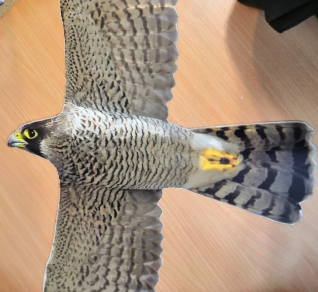 оптична ілюзія - дешевий допоміжний спосіб відлякати птахів від будь-яких об'єктів