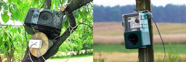 методи кріплення шумових відлякувачів від птахів - від стовпа до гілки дерева